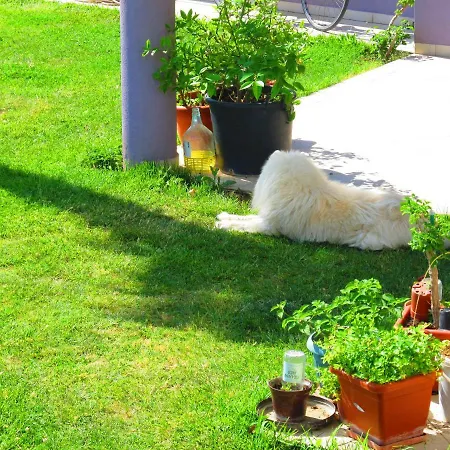 Seaview House Mali Rog Apartman